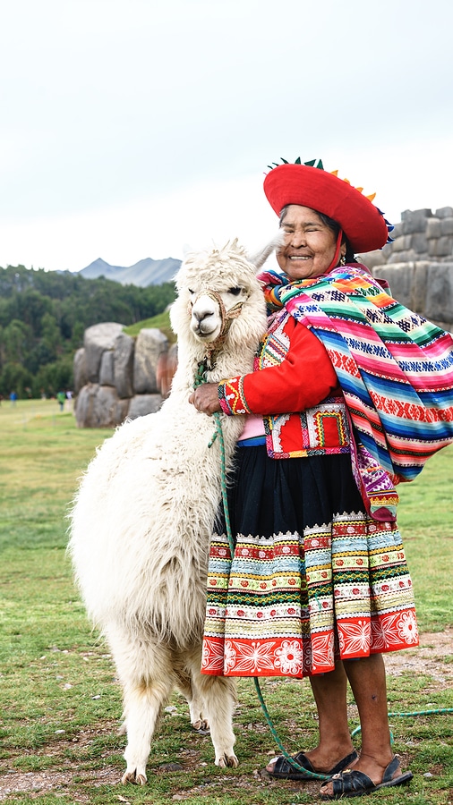 Native Peruvian Woman in Traditional Dress with White Llama Alpaca Sacred Valley Cusco Peru South America