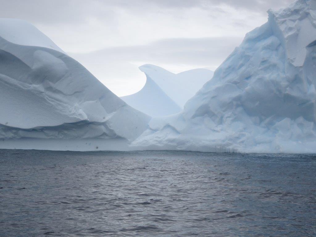 Bird-shaped Iceberg, Melchior Islands, Antarctica