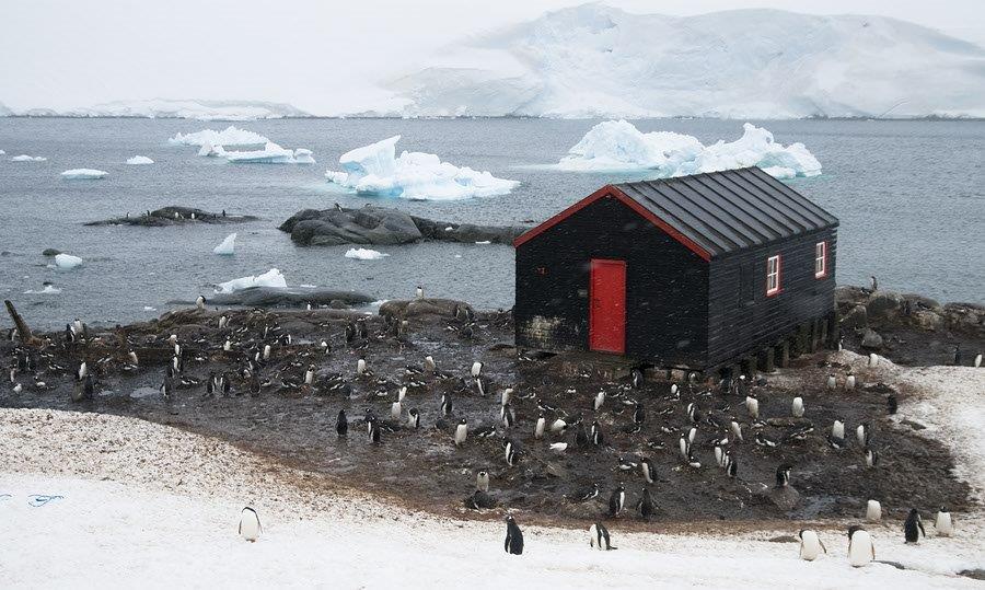 Hut and Gentoo Penguin Colony, Port Lockroy, Antarctica