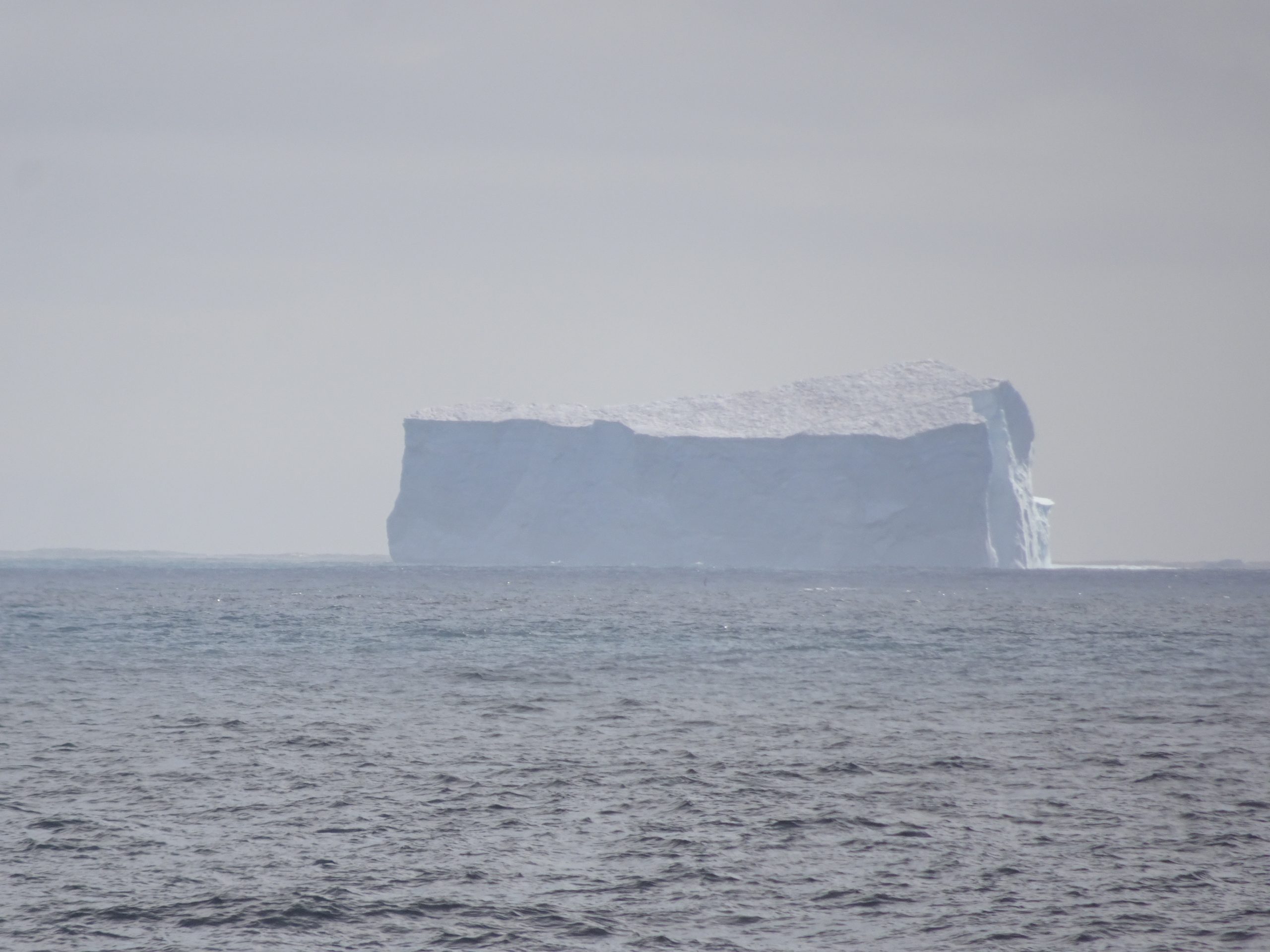 Table Iceberg, Elephant Island, Antarctica