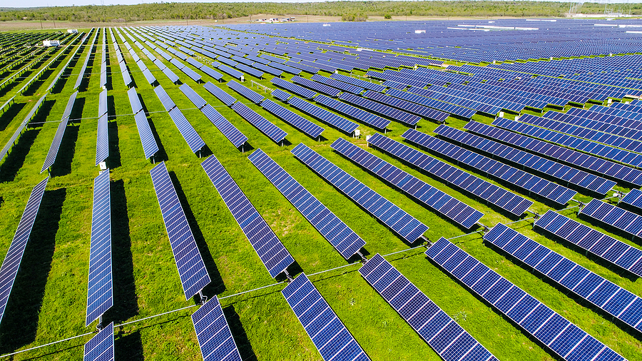 Solar Panel Farm, Austin, Texas